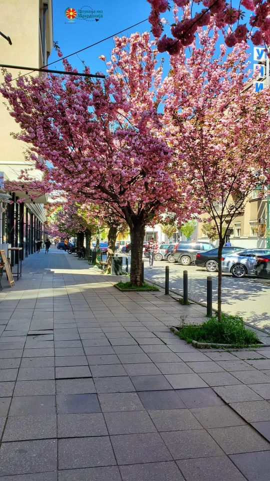 Општина Центар-Скопје