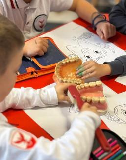 Орално здравје