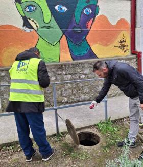 Дератизација